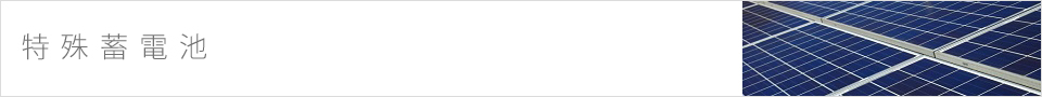特殊蓄電池