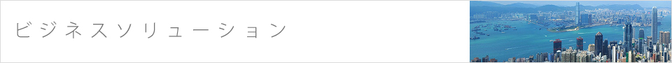 ビジネスソリューション